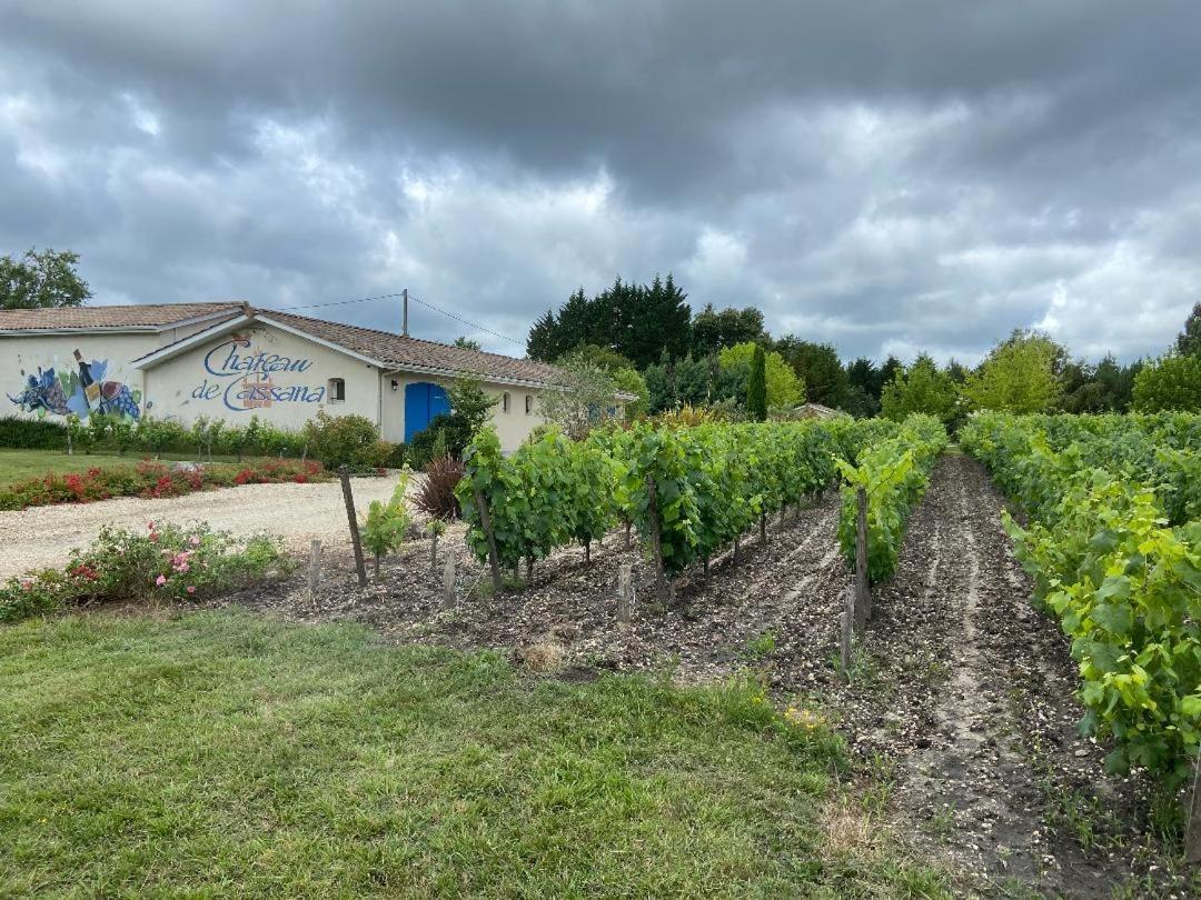 Domaine Du Cassana Villa Saint-Sauveur  Dış mekan fotoğraf